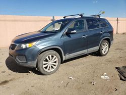 Salvage cars for sale at Albuquerque, NM auction: 2011 KIA Sorento Base