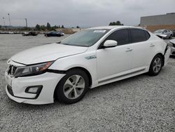 Salvage cars for sale at Mentone, CA auction: 2014 KIA Optima Hybrid