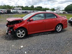 Salvage cars for sale at Hillsborough, NJ auction: 2013 Toyota Corolla Base