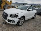 2014 Audi Q5 Premium Plus