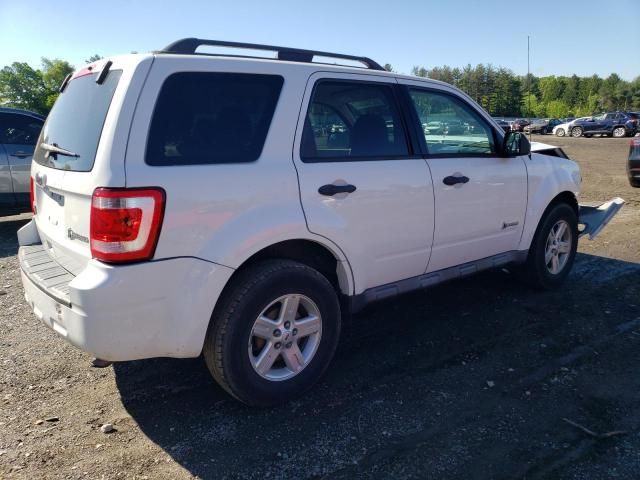 2010 Ford Escape Hybrid