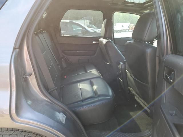 2010 Ford Escape Limited