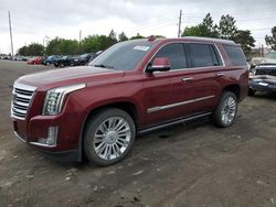 Cadillac salvage cars for sale: 2017 Cadillac Escalade Platinum