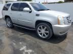 2010 Cadillac Escalade Luxury