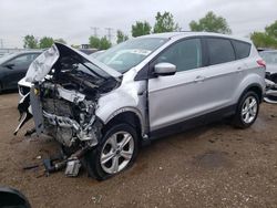 Vehiculos salvage en venta de Copart Elgin, IL: 2013 Ford Escape SE