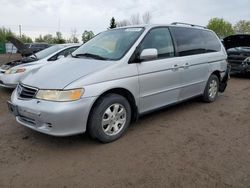 Honda salvage cars for sale: 2003 Honda Odyssey EX