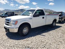 Salvage cars for sale at Magna, UT auction: 2013 Ford F150