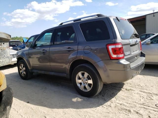 2012 Ford Escape Limited