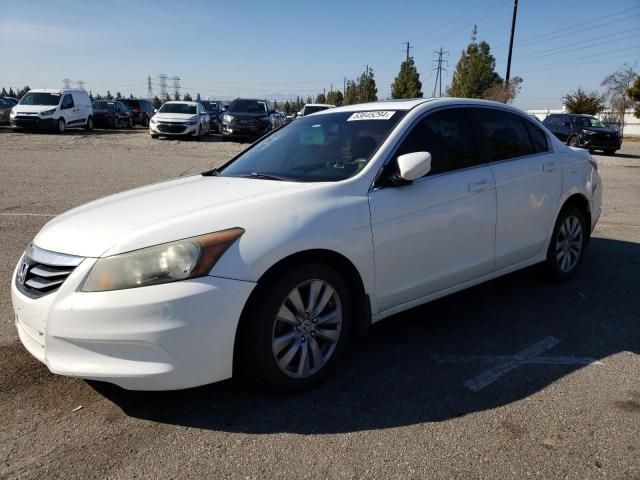 2011 Honda Accord EXL