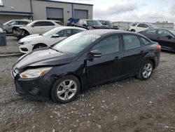Salvage cars for sale at Earlington, KY auction: 2013 Ford Focus SE