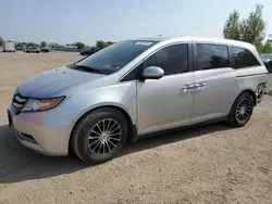 Honda salvage cars for sale: 2014 Honda Odyssey EX