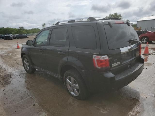 2011 Ford Escape Limited