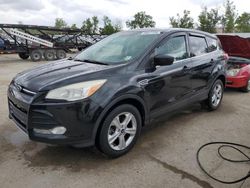 Hail Damaged Cars for sale at auction: 2014 Ford Escape SE
