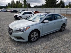 Hyundai Sonata Hybrid salvage cars for sale: 2016 Hyundai Sonata Hybrid