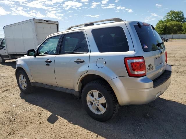 2010 Ford Escape XLT