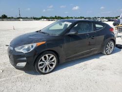 Salvage cars for sale at Arcadia, FL auction: 2013 Hyundai Veloster