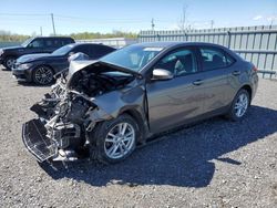 Salvage cars for sale from Copart Ontario Auction, ON: 2019 Toyota Corolla L