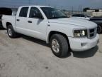 2011 Dodge Dakota SLT