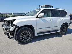 Salvage cars for sale at Orlando, FL auction: 2017 Lexus GX 460 Premium