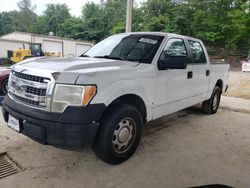 Salvage cars for sale from Copart Hueytown, AL: 2013 Ford F150 Supercrew
