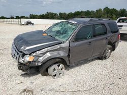 Ford Escape salvage cars for sale: 2012 Ford Escape XLT