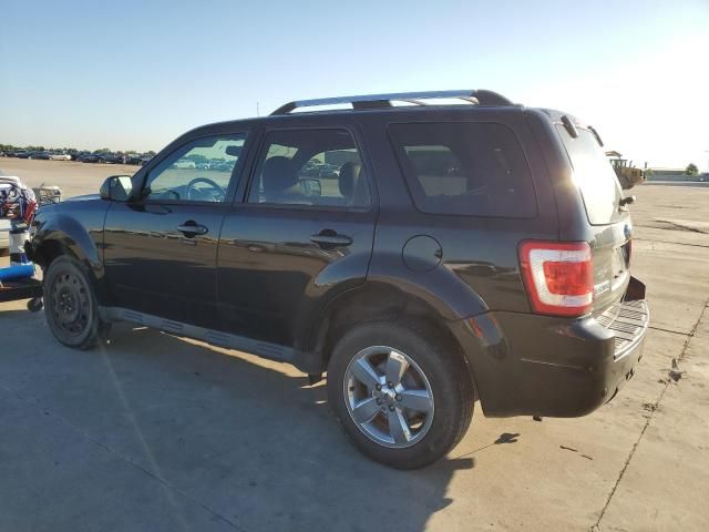 2011 Ford Escape Limited