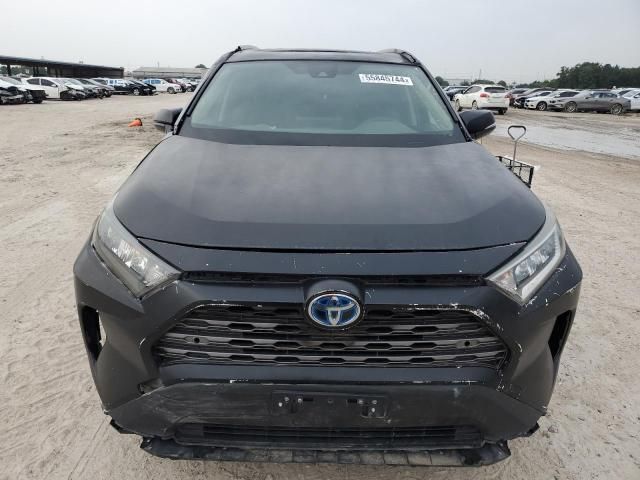 2019 Toyota Rav4 XLE