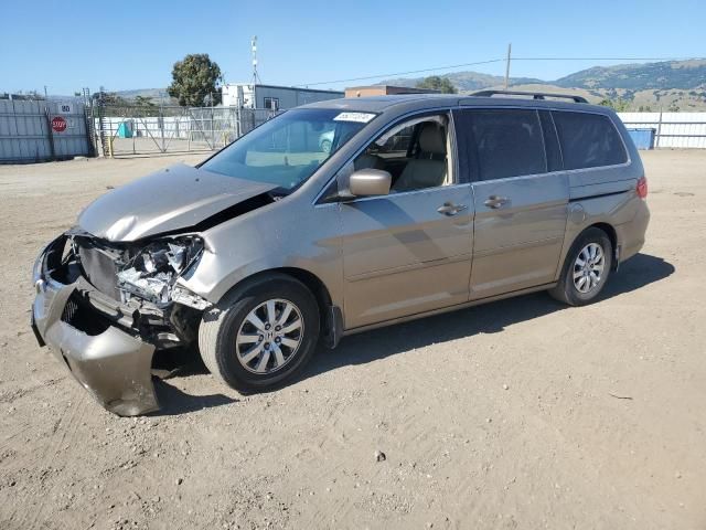 2009 Honda Odyssey EXL