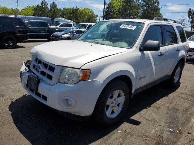 2009 Ford Escape Hybrid