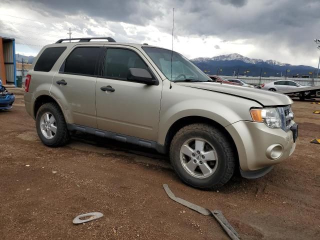 2012 Ford Escape XLT