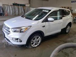 Salvage cars for sale at Elgin, IL auction: 2017 Ford Escape SE