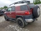 2010 Toyota FJ Cruiser