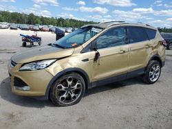 Salvage cars for sale at Harleyville, SC auction: 2014 Ford Escape Titanium