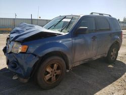 Salvage cars for sale at Dyer, IN auction: 2010 Ford Escape XLT