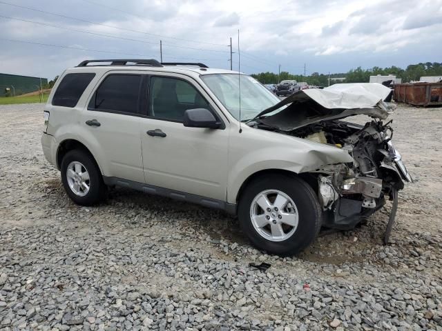 2009 Ford Escape XLT