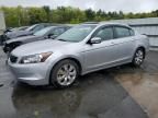 2009 Honda Accord EX