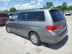 2008 Honda Odyssey EXL