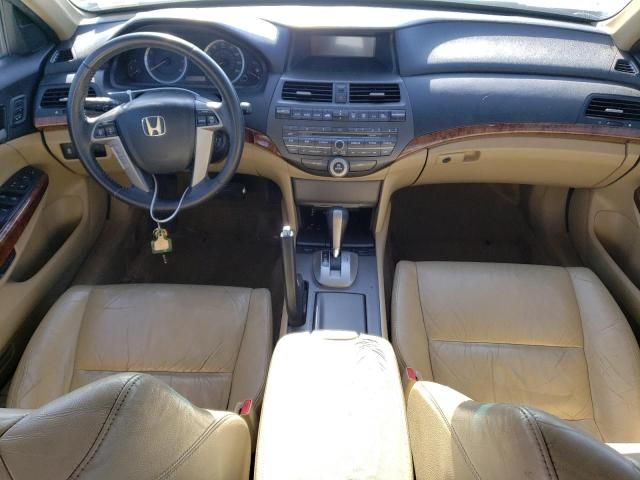 2011 Honda Accord EXL