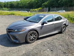 Salvage cars for sale at Finksburg, MD auction: 2021 Toyota Camry SE