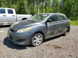 Salvage cars for sale at auction: 2010 Toyota Corolla Matrix S