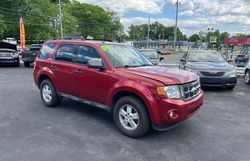 Copart GO cars for sale at auction: 2009 Ford Escape XLT