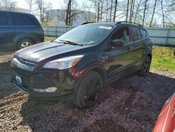 Salvage cars for sale from Copart Central Square, NY: 2014 Ford Escape SE