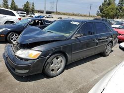 Salvage cars for sale from Copart Rancho Cucamonga, CA: 2003 Toyota Avalon XL