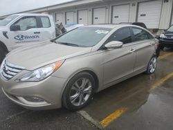 Salvage cars for sale at Louisville, KY auction: 2011 Hyundai Sonata SE