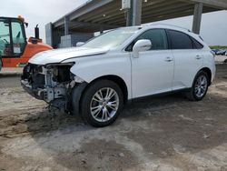 Salvage cars for sale from Copart West Palm Beach, FL: 2014 Lexus RX 350
