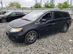 Salvage cars for sale at Windsor, NJ auction: 2011 Honda Odyssey EXL