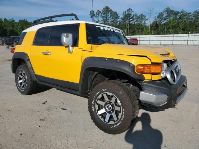 2007 Toyota FJ Cruiser