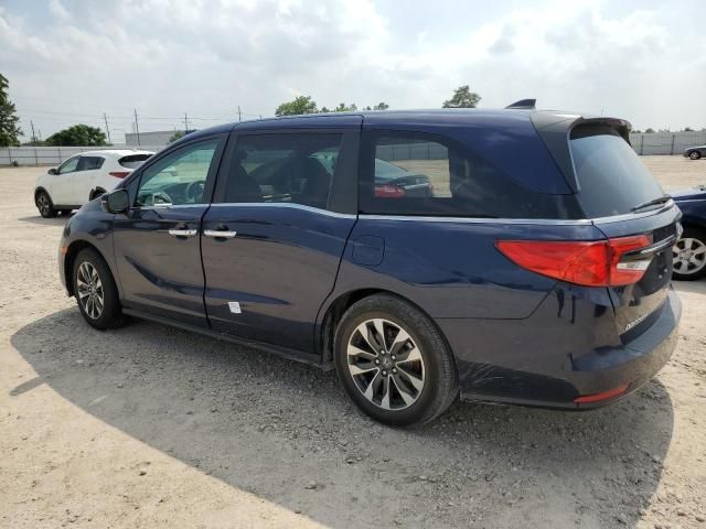 2024 Honda Odyssey EXL