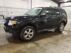Salvage cars for sale at Avon, MN auction: 2011 Ford Escape XLT