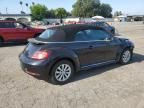 2019 Volkswagen Beetle S